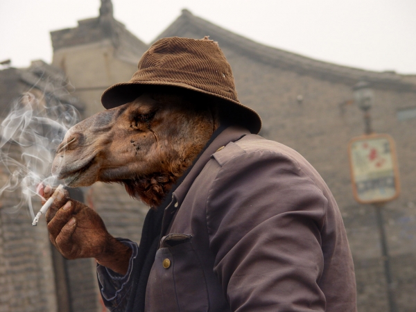 Creation of Smoking Camel: Step 11